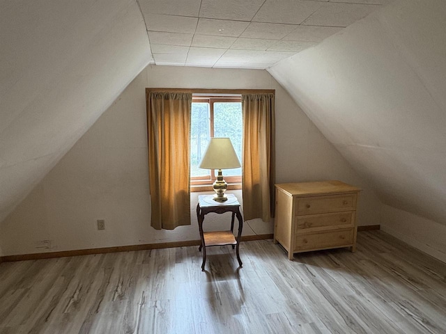 W5946 Beach Dr, New Lisbon, WI 53950 - additional living space with baseboards, light wood-type flooring, and vaulted ceiling