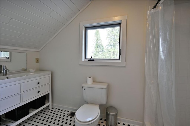 12642 Paddock Rd, Hayward, WI 54843 - full bathroom featuring lofted ceiling, vanity, and curtained shower