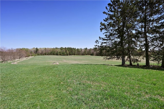 12642 Paddock Rd, Hayward, WI 54843 - view of green lawn