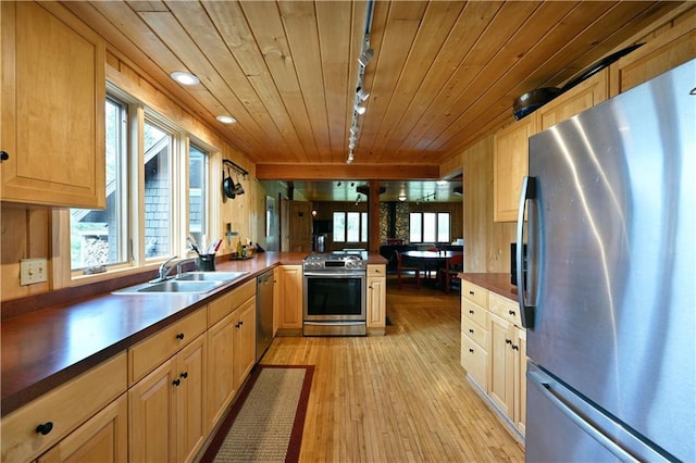 12642 Paddock Rd, Hayward, WI 54843 - kitchen featuring appliances with stainless steel finishes, wood ceiling, plenty of natural light, light wood finished floors, and a peninsula