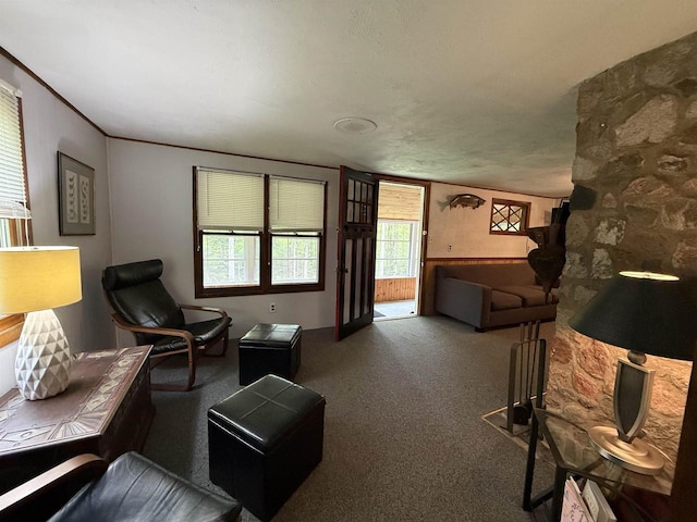 W10550 Hazelgreen Rd, Deerbrook, WI 54424 - living area featuring carpet flooring