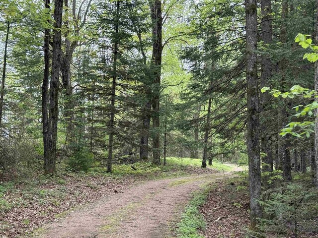 W10550 Hazelgreen Rd, Deerbrook, WI 54424 - view of dirt / gravel road with a view of trees
