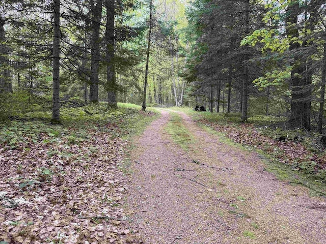 W10550 Hazelgreen Rd, Deerbrook, WI 54424 - view of street featuring a view of trees