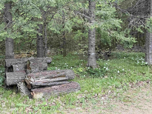 W10550 Hazelgreen Rd, Deerbrook, WI 54424 - view of local wilderness