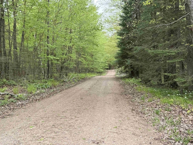 W10550 Hazelgreen Rd, Deerbrook, WI 54424 - view of dirt / gravel road with a view of trees