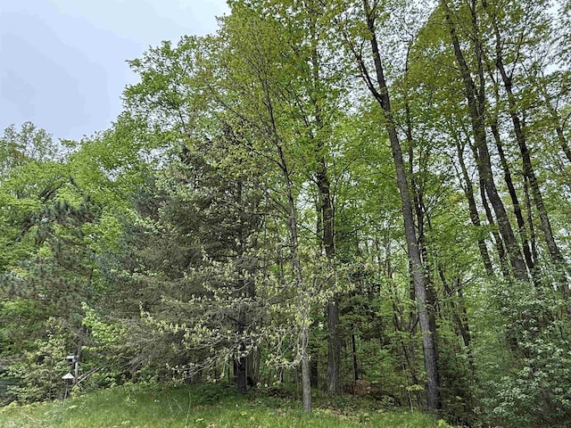 W10550 Hazelgreen Rd, Deerbrook, WI 54424 - view of woods