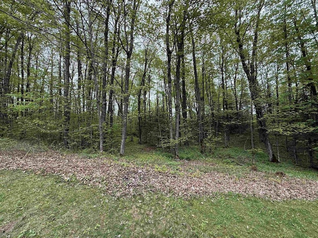 W10550 Hazelgreen Rd, Deerbrook, WI 54424 - view of yard featuring a forest view