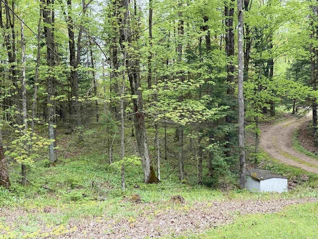 W10550 Hazelgreen Rd, Deerbrook, WI 54424 - view of wooded area