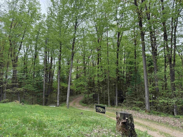 W10550 Hazelgreen Rd, Deerbrook, WI 54424 - view of road featuring a forest view