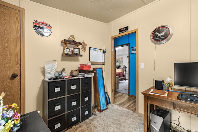 7244 Pine Tree Dr, Almond, WI 54909 - home office with carpet