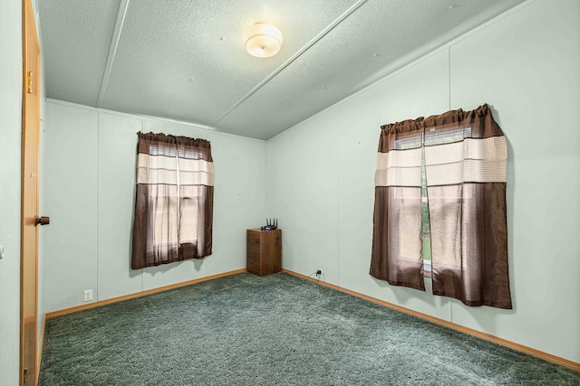 7244 Pine Tree Dr, Almond, WI 54909 - carpeted empty room featuring lofted ceiling, a textured ceiling, and baseboards
