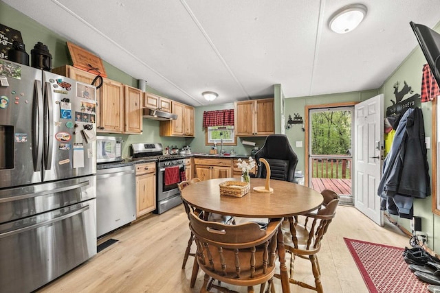 7244 Pine Tree Dr, Almond, WI 54909 - kitchen with stainless steel appliances, light wood-style flooring, under cabinet range hood, dark countertops, and a sink
