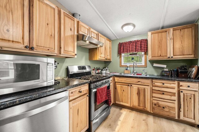 7244 Pine Tree Dr, Almond, WI 54909 - kitchen featuring appliances with stainless steel finishes, under cabinet range hood, a sink, light wood finished floors, and dark countertops