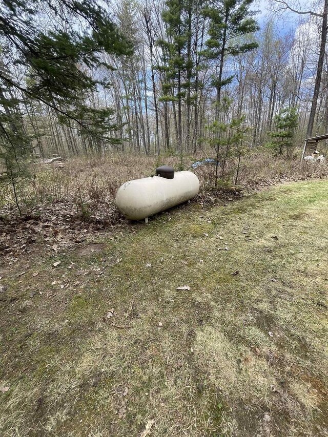 N18355 Big Bear Rd, Pembine, WI 54156 - view of yard