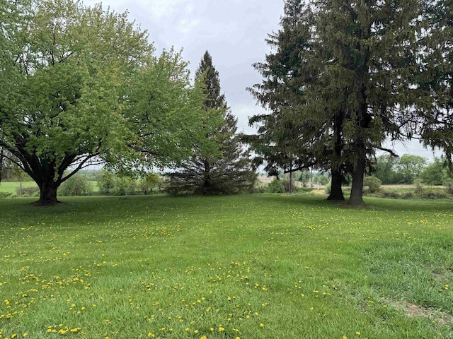 W13414 Liner Rd, Brandon, WI 53919 - view of grassy yard