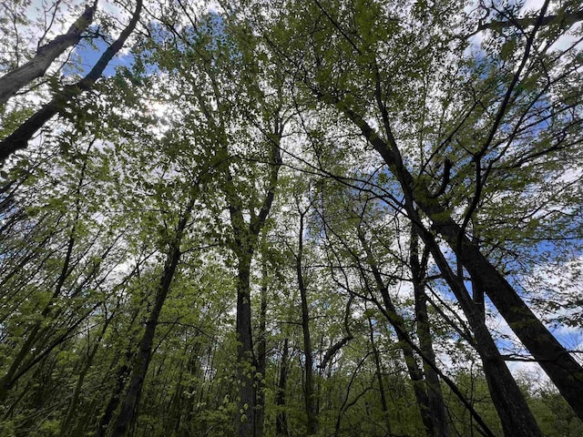 17.75ACRES County Road G, Oxford, WI 53952