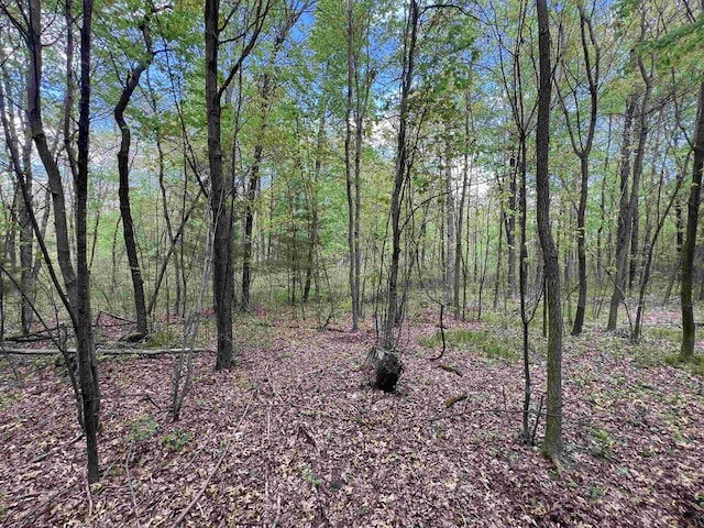 17.75ACRES County Road G, Oxford, WI 53952