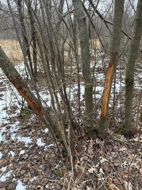 17.75ACRES County Road G, Oxford, WI 53952