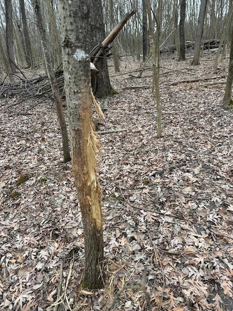 17.75ACRES County Road G, Oxford, WI 53952