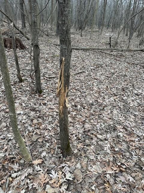 17.75ACRES County Road G, Oxford, WI 53952