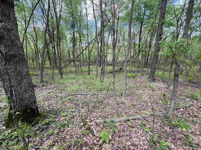17.75ACRES County Road G, Oxford, WI 53952