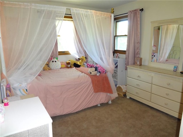 3412 Jill Ave, Eau Claire, WI 54701 - view of carpeted bedroom