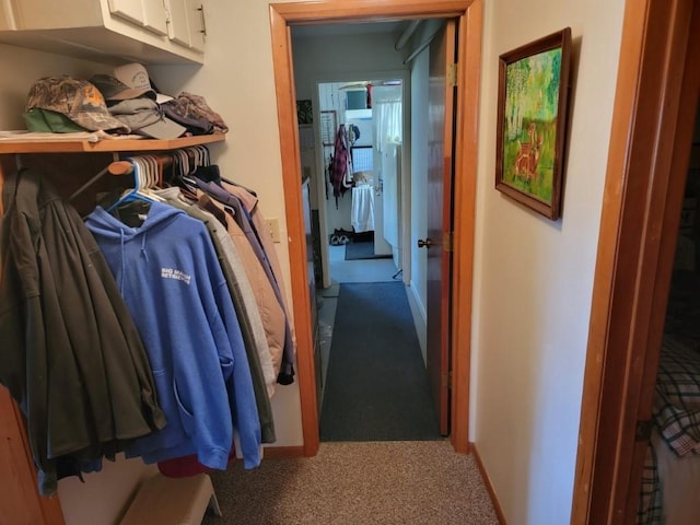 4055W Lester Ln, Loretta, WI 54896 - spacious closet featuring carpet flooring