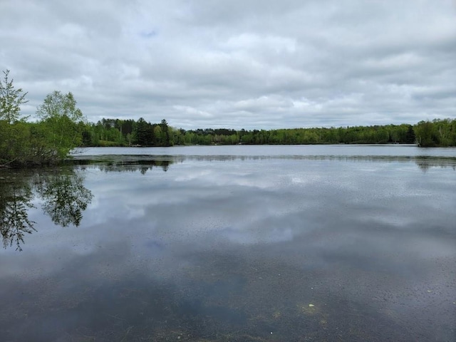 4055W Lester Ln, Loretta, WI 54896 - water view featuring a forest