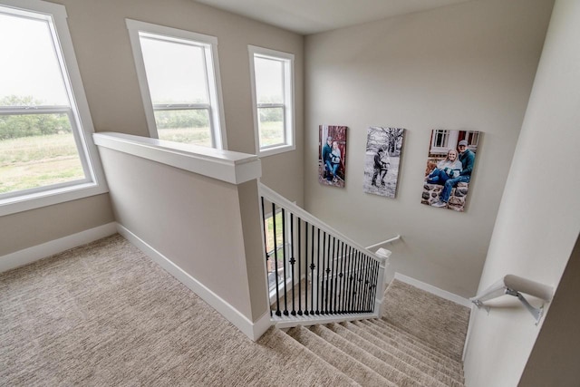 241 E Hubert St, Edgerton, WI 53534 - stairs featuring carpet and baseboards