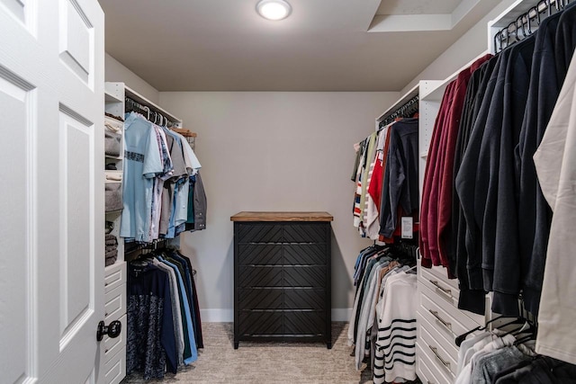241 E Hubert St, Edgerton, WI 53534 - walk in closet featuring carpet