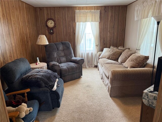 23923 Washington St, Independence, WI 54747 - living room with light carpet and wooden walls