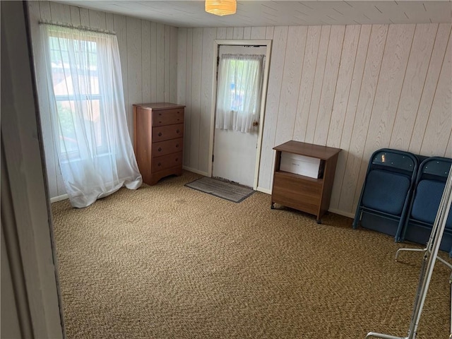 23923 Washington St, Independence, WI 54747 - unfurnished room with carpet floors and wood walls