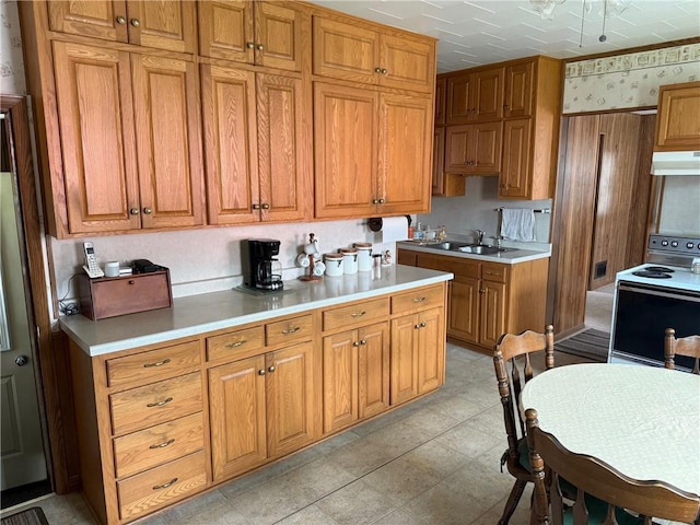 23923 Washington St, Independence, WI 54747 - kitchen with range with electric cooktop, under cabinet range hood, a sink, and brown cabinets