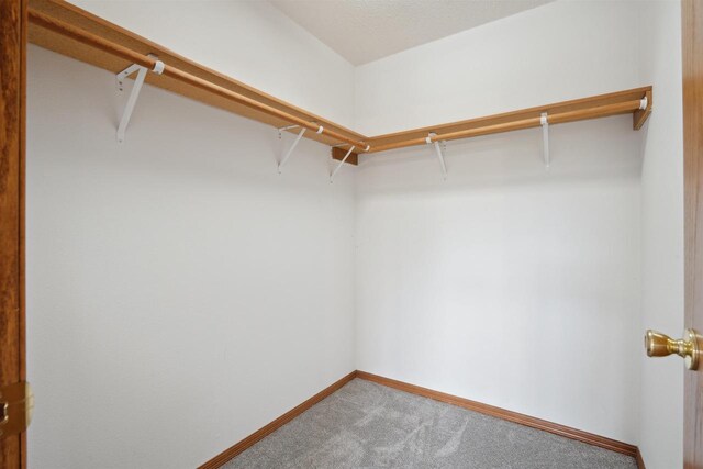 119 White St, Benton, WI 53803 - walk in closet with carpet