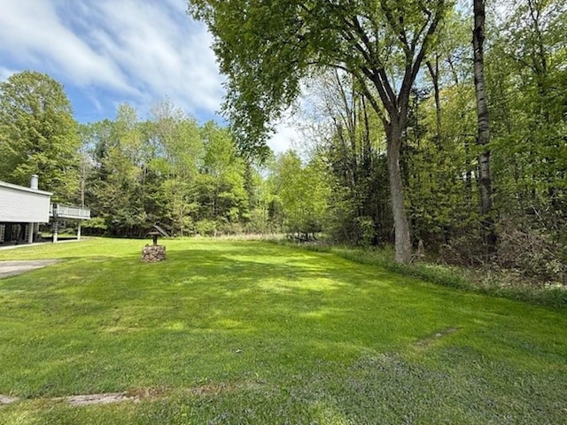 228227 County Road Y, Birnamwood, WI 54414 - view of grassy yard