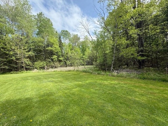 228227 County Road Y, Birnamwood, WI 54414 - view of grassy yard featuring a wooded view