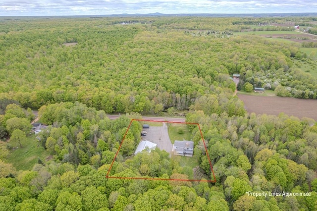 228227 County Road Y, Birnamwood, WI 54414 - aerial overview of property's location featuring a forest and property parcel outlined