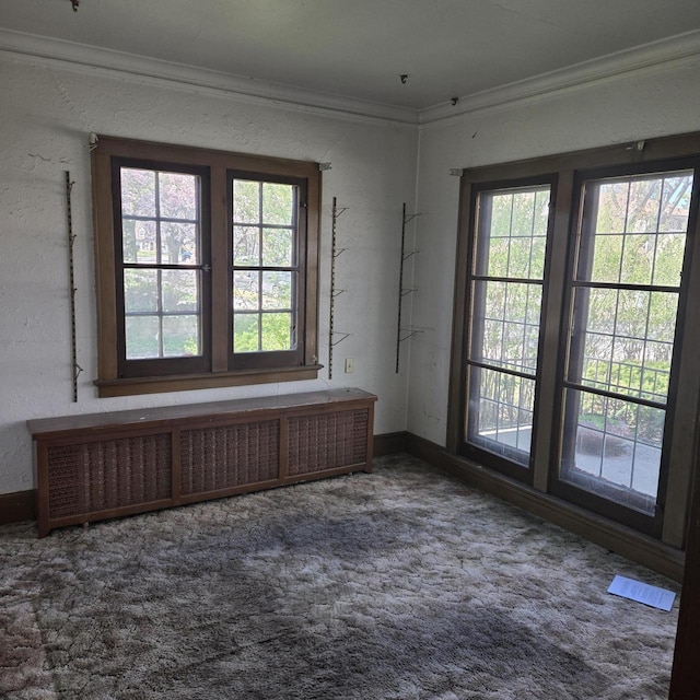 carpeted spare room featuring crown molding, healthy amount of natural light, radiator heating unit, and baseboards