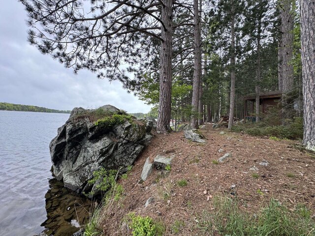 1948 Wild Life Ln, Eagle River, WI 54521 - view of yard featuring a water view
