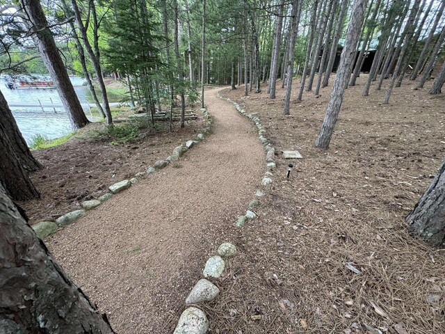 1948 Wild Life Ln, Eagle River, WI 54521 - view of yard