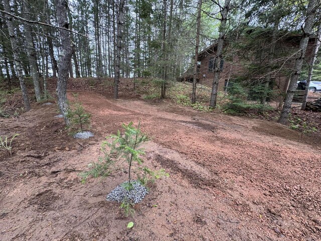 1948 Wild Life Ln, Eagle River, WI 54521 - view of yard