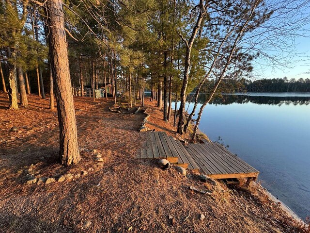 1948 Wild Life Ln, Eagle River, WI 54521 - view of yard featuring a boat dock, a water view, and a wooded view
