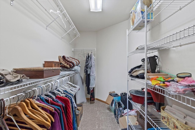 267 Oconomowoc Pkwy, Oconomowoc, WI 53066 - walk in closet featuring carpet flooring