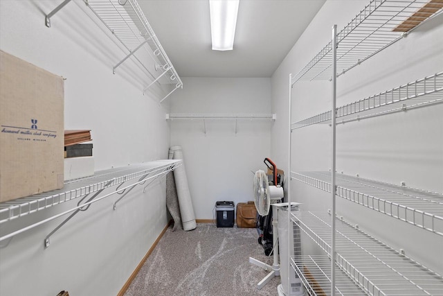 267 Oconomowoc Pkwy, Oconomowoc, WI 53066 - walk in closet featuring carpet floors