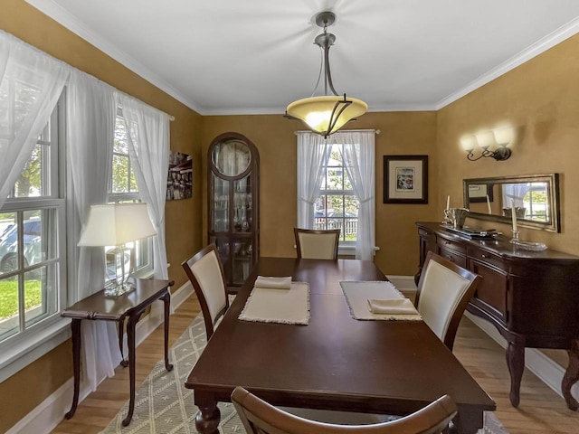 office space featuring wood finished floors, crown molding, and baseboards