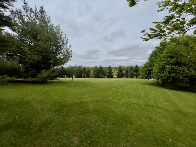 7401 Mildred Ct, Cross Plains, WI 53528 - view of green lawn