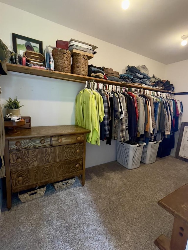 7401 Mildred Ct, Cross Plains, WI 53528 - spacious closet featuring carpet