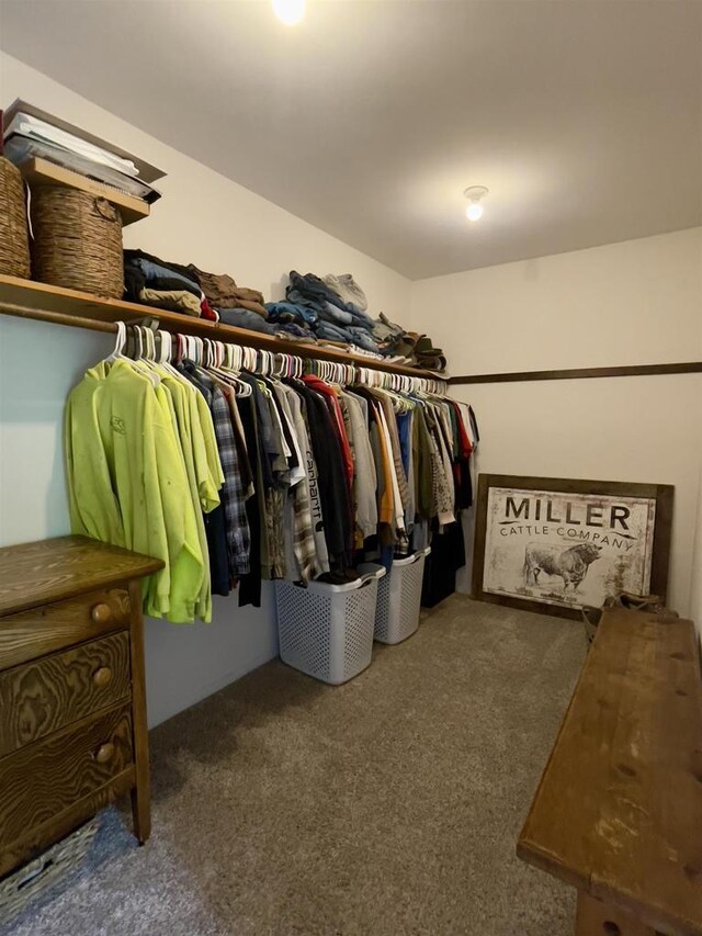 7401 Mildred Ct, Cross Plains, WI 53528 - spacious closet with carpet