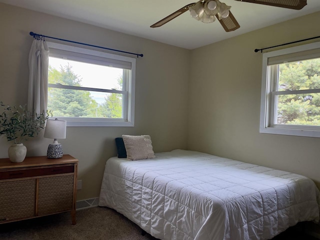7401 Mildred Ct, Cross Plains, WI 53528 - bedroom featuring multiple windows, carpet flooring, and ceiling fan