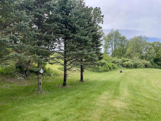 7401 Mildred Ct, Cross Plains, WI 53528 - view of grassy yard